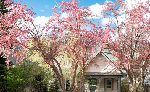 House in Aspen, Colorado, United States 1