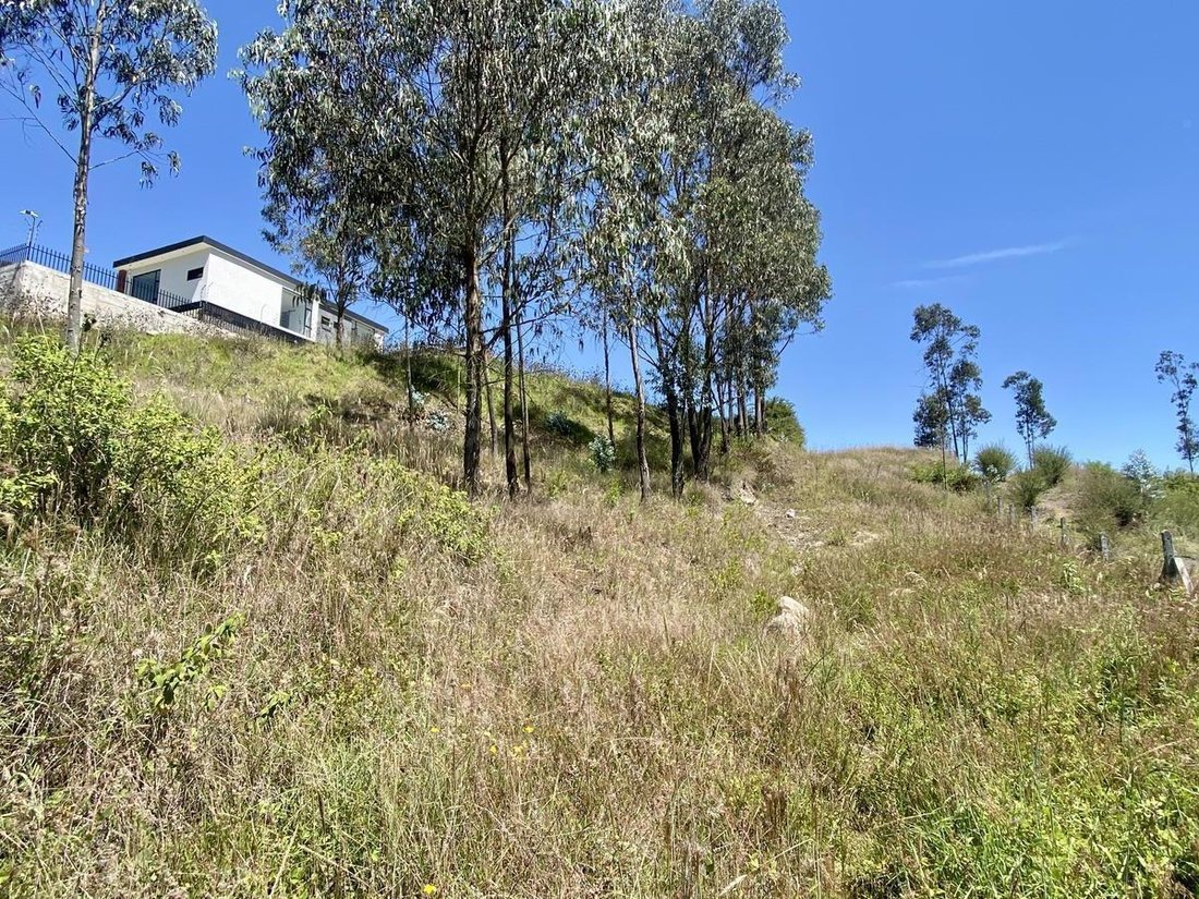 Land in Quito, Pichincha, Ecuador 3 - 18190661