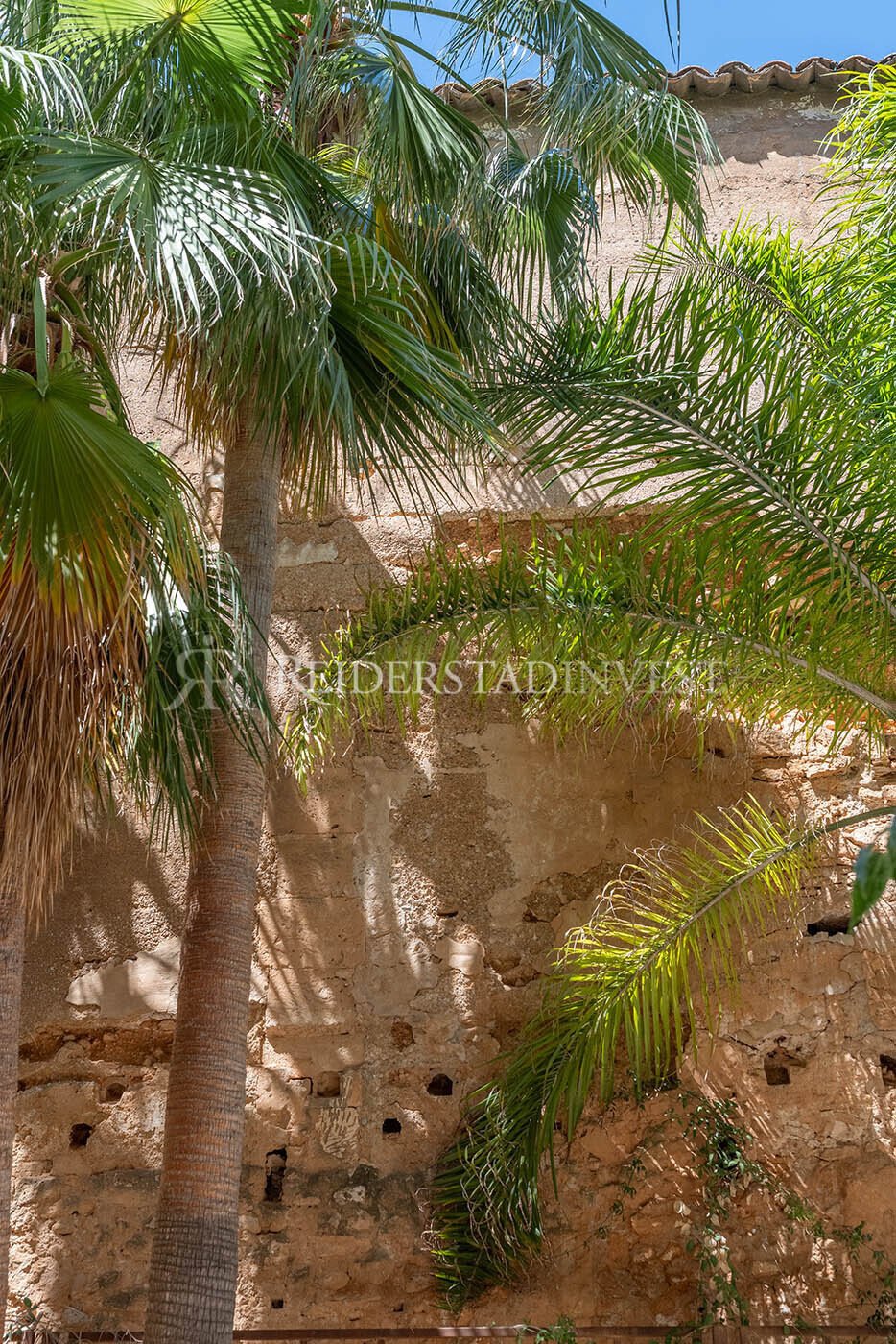 Apartment in Palma, Balearic Islands, Spain 5 - 18193165