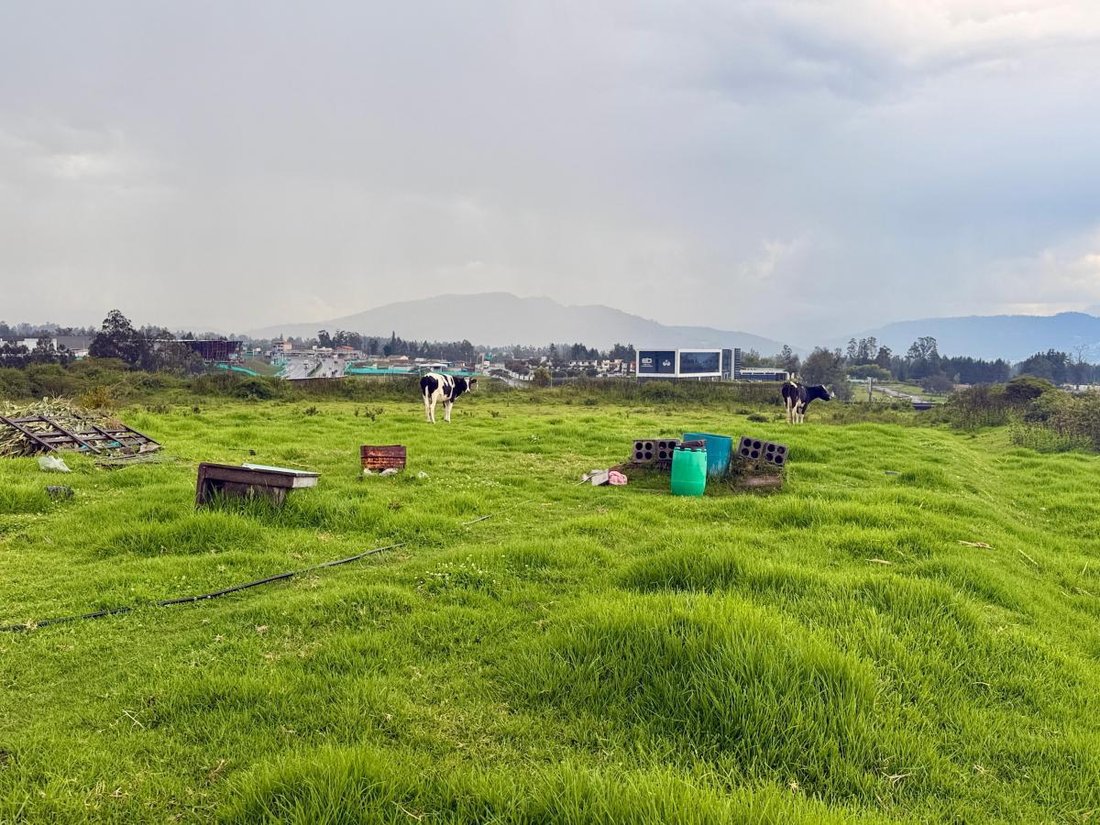 Land in Quito, Pichincha, Ecuador 1 - 18190617