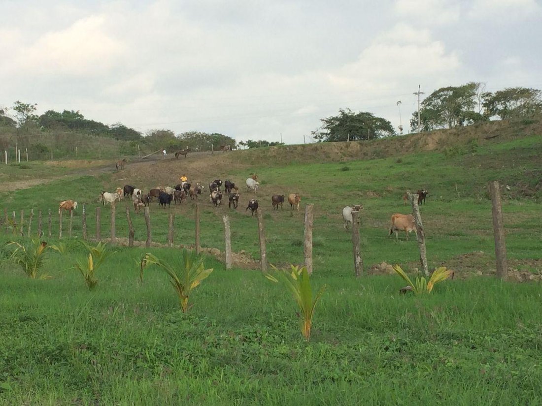 Land in Cojimies, Manabí, Ecuador 3 - 18190628