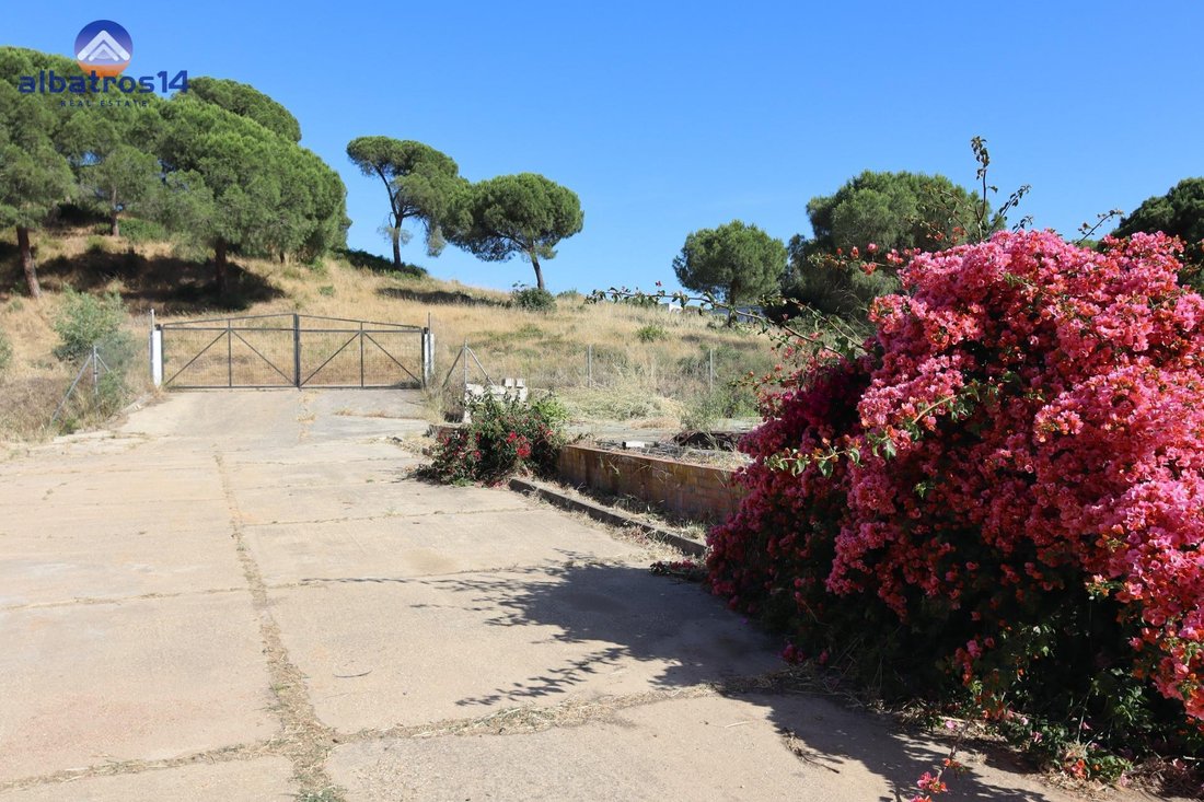 Country House in El Rompido, Cartaya, Andalusia 5 - 18191401