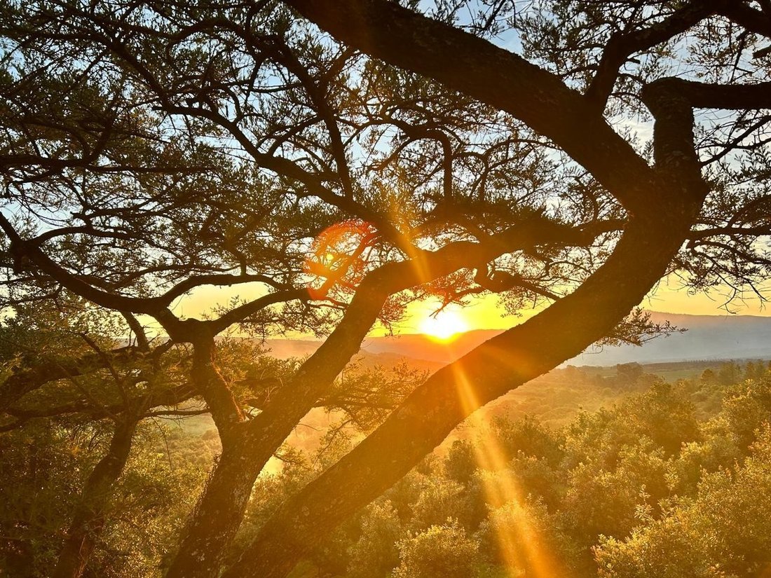 Farm Ranch in Mashishing, Mpumalanga, South Africa 1 - 18193310