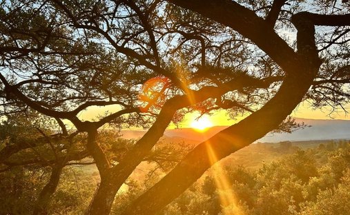 Farm Ranch in White River, Mpumalanga, South Africa 1