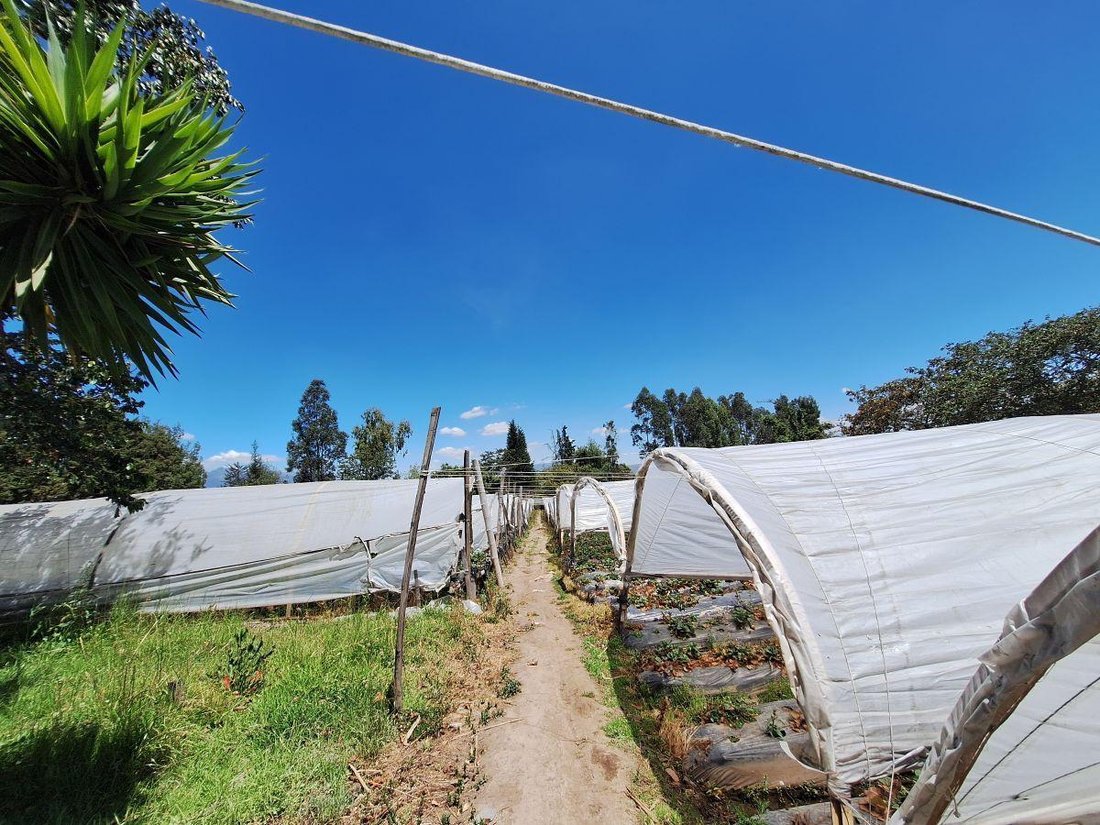 Land in Quito, Pichincha, Ecuador 2 - 18190607