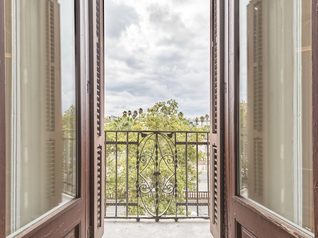 Apartment in Ciutat Vella, Barcelona, Spain 5 - 16165141