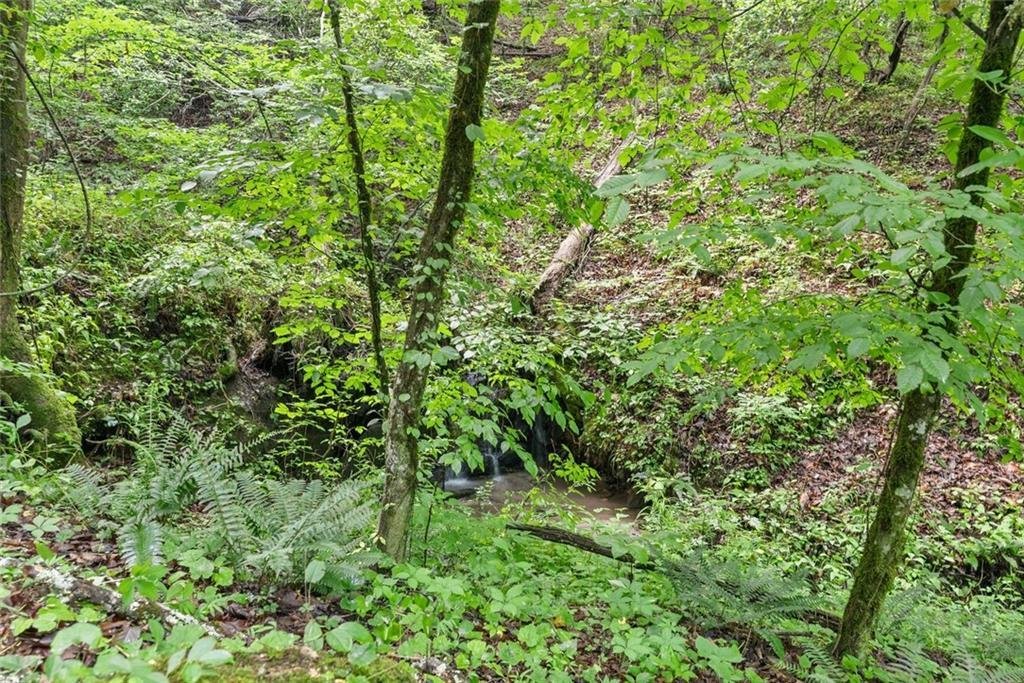 Land in Dahlonega, Georgia, United States 4 - 18188264