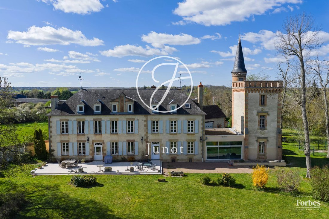Castle in Neuvy, Auvergne-Rhône-Alpes, France 1 - 17520546