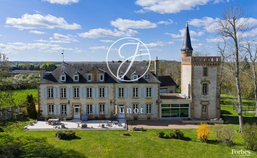 Castle in Neuvy, Auvergne-Rhône-Alpes, France 1