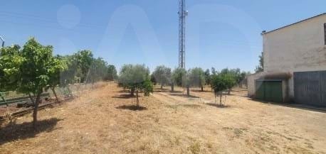 Farm Ranch in Ocana, Castile-La Mancha, Spain 3 - 18190812