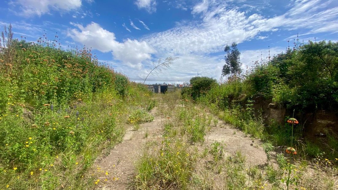 Land in Quito, Pichincha, Ecuador 3 - 18190647