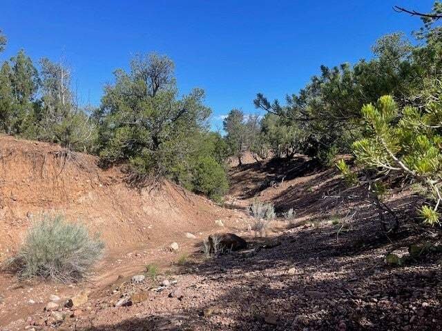 Land in Santa Fe, New Mexico, United States 4 - 18189630