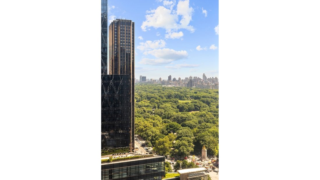 Appartement à New York, État de New York, États-Unis 1 - 18190279