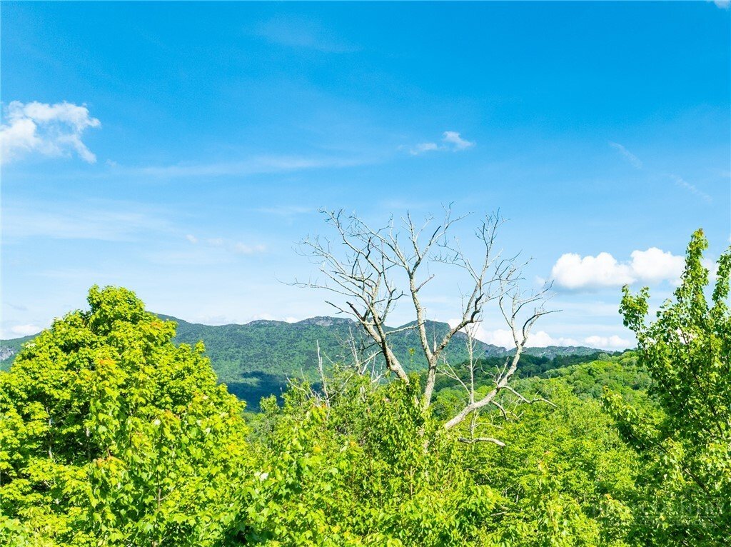 Condo in Banner Elk, North Carolina, United States 4 - 17173944
