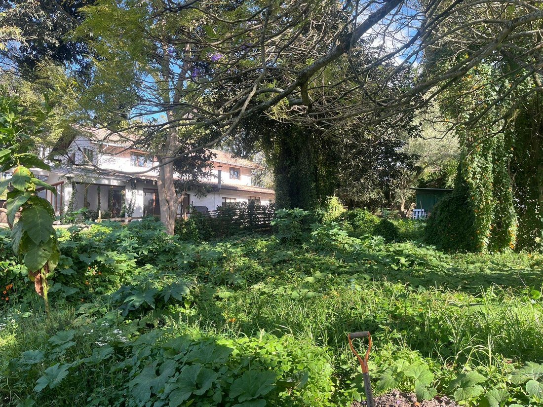 Land in Quito, Pichincha, Ecuador 5 - 18190623
