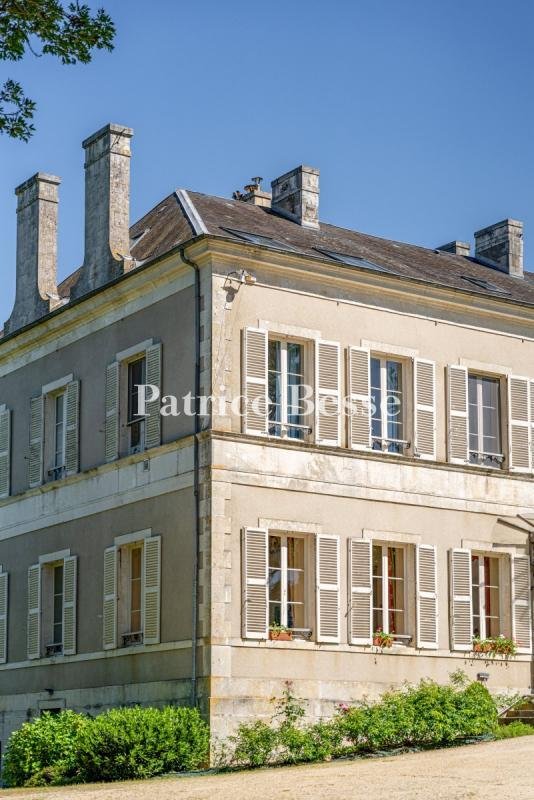 Château à Vallenay, Centre-Val de Loire, France 4 - 18193684