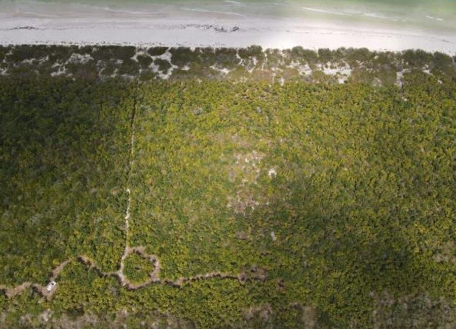 Land in El Cuyo, Yucatan, Mexico 5 - 18191077