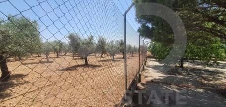 Farm Ranch in Ocana, Castile-La Mancha, Spain 4 - 18190812