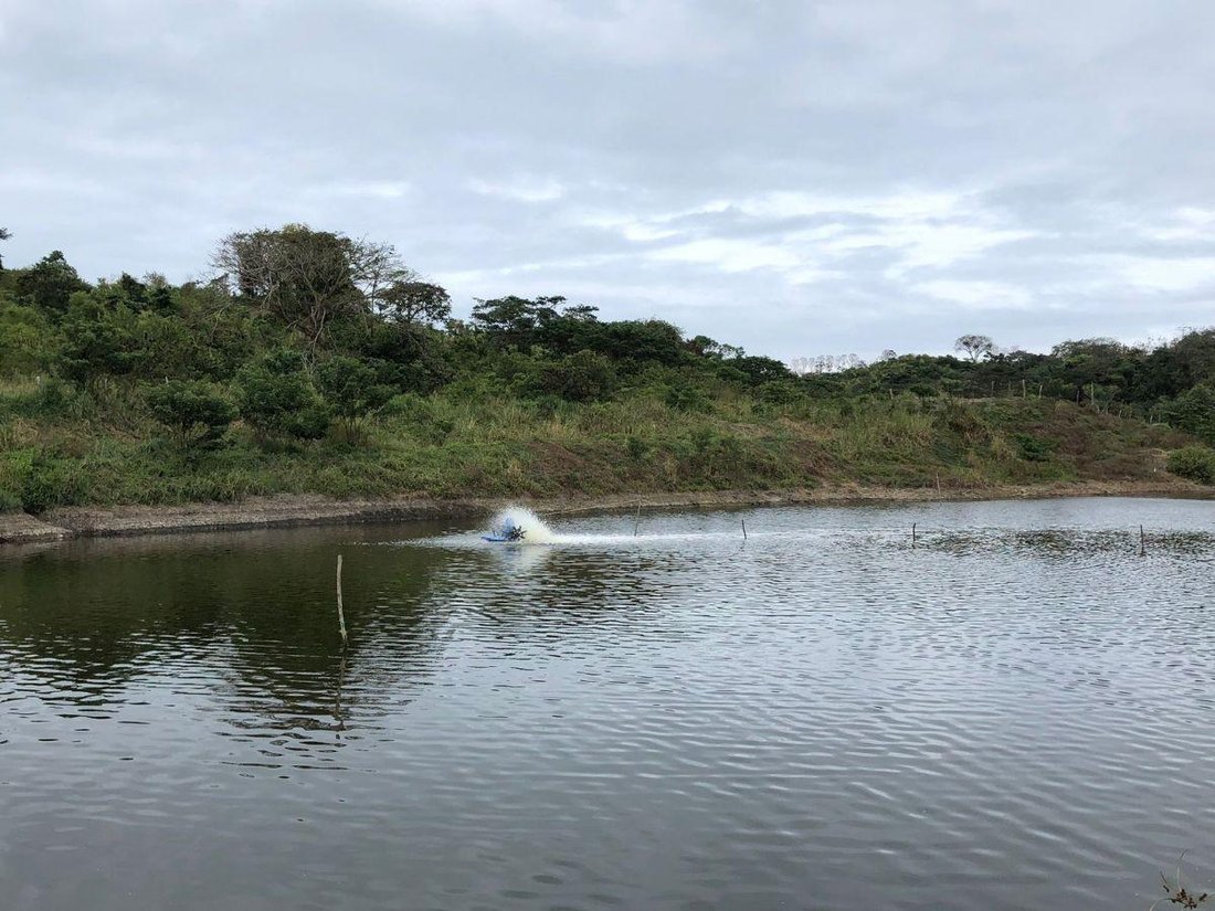 Land in Cojimies, Manabí, Ecuador 1 - 18190628