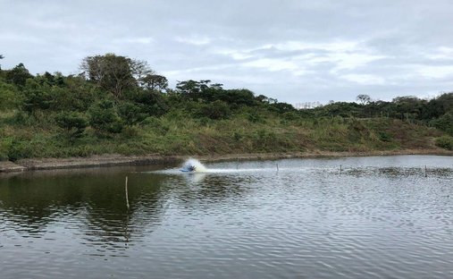 Land in Cojimies, Manabí, Ecuador 1
