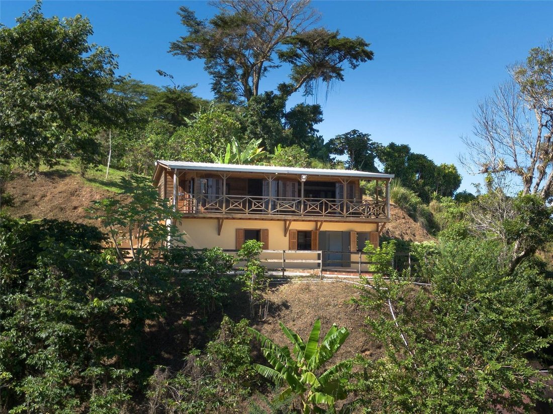 Farm Ranch in ADJUNTAS, PR, United States 5 - 16718779