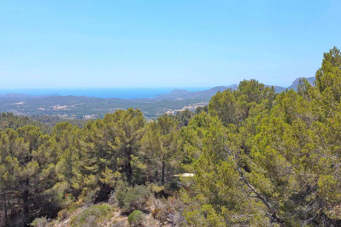 Land in Calvia, Balearic Islands, Spain 1 - 18191342