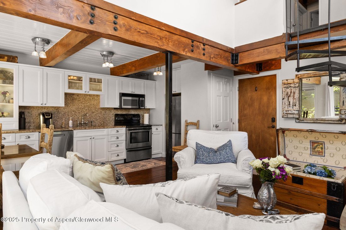 Condo in Aspen, Colorado, United States 5 - 18188395