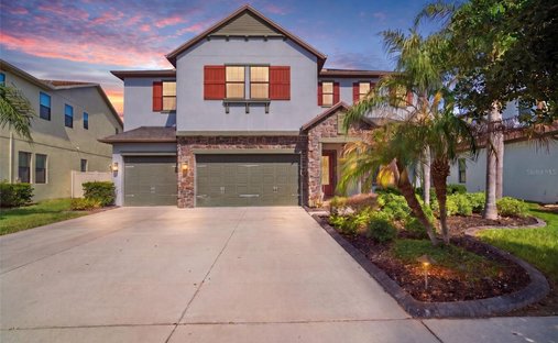 Maison à Wesley Chapel, Floride, États-Unis 1