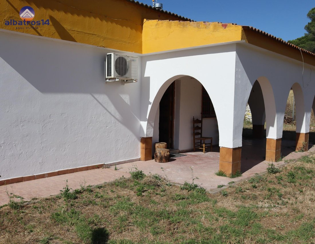 Country House in El Rompido, Cartaya, Andalusia 3 - 18191401