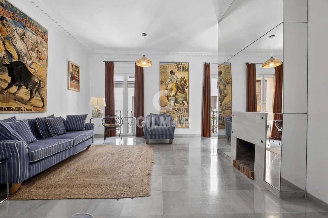 Penthouse in Casco Antiguo, Seville, Spain 1 - 18189824