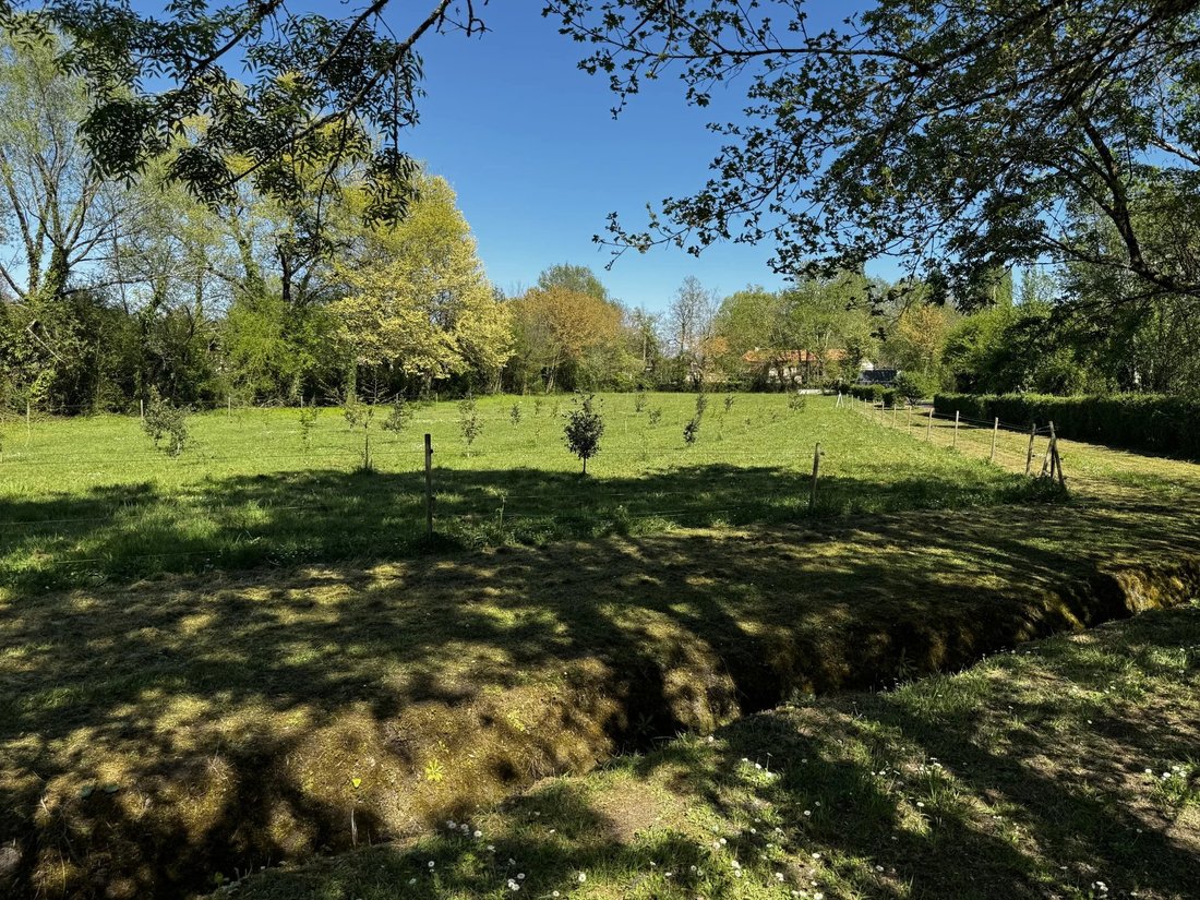 Estate in Grand Parc-Chartrons-Paul Doumer, Bordeaux, France 4 - 18189357