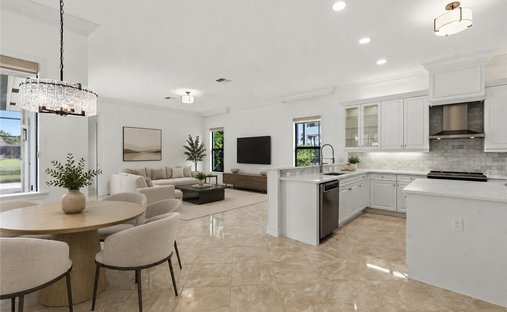 Maison à Naples, Floride, États-Unis 1
