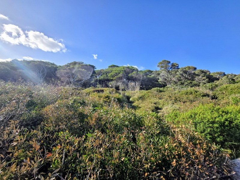 Land in Capdepera, Balearische Inseln, Spanien 4 - 18191356