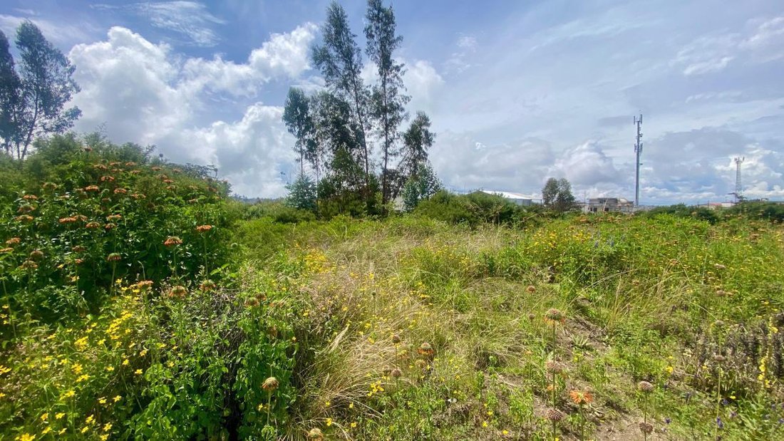 Land in Quito, Pichincha, Ecuador 5 - 18190647