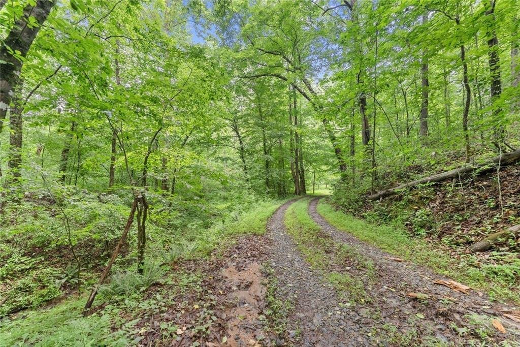 Land in Dahlonega, Georgia, United States 5 - 18188264
