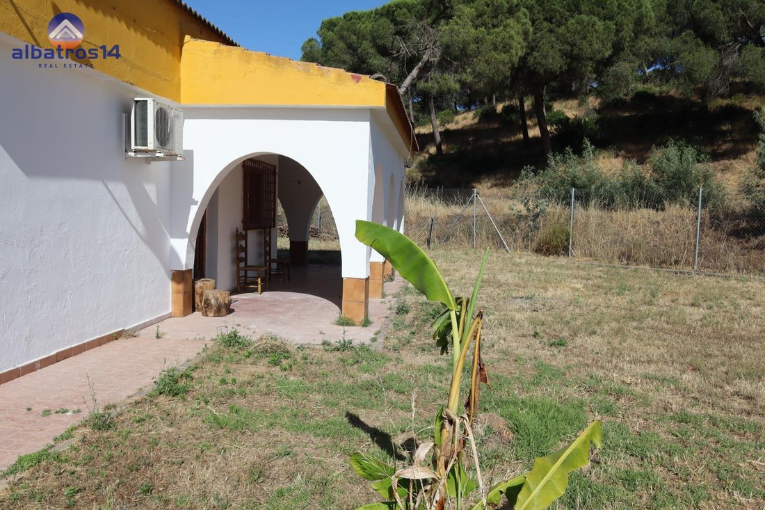 Country House in El Rompido, Cartaya, Andalusia 4 - 18191401