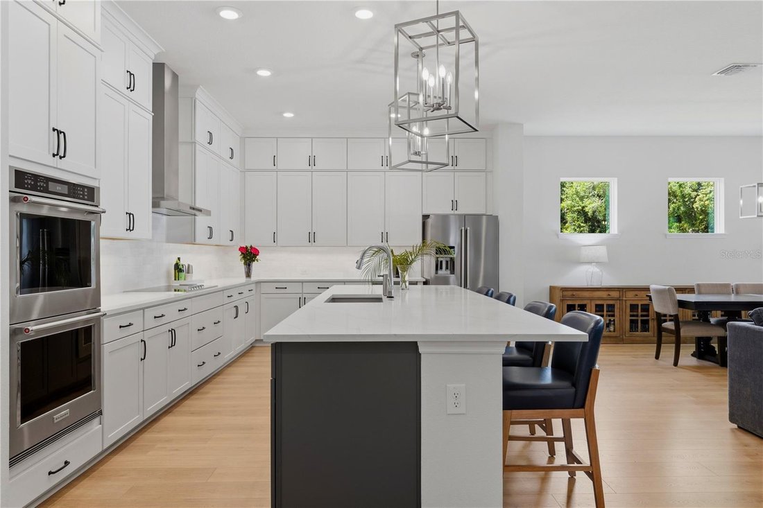 House in Odessa, Florida, United States 5 - 18192801
