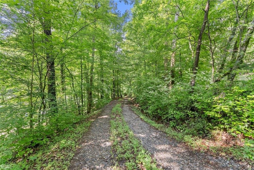 Land in Dahlonega, Georgia, United States 1 - 18188264