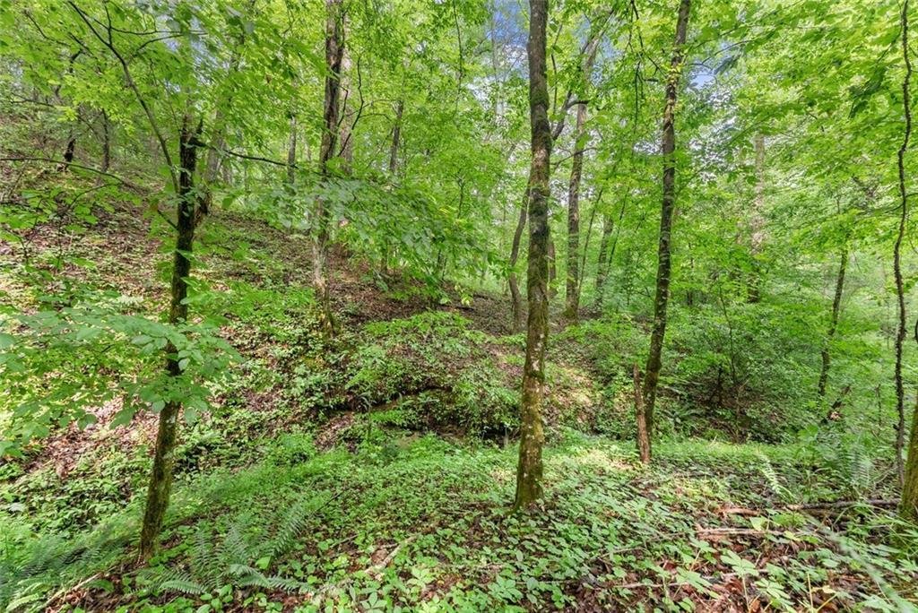 Land in Dahlonega, Georgia, United States 3 - 18188264