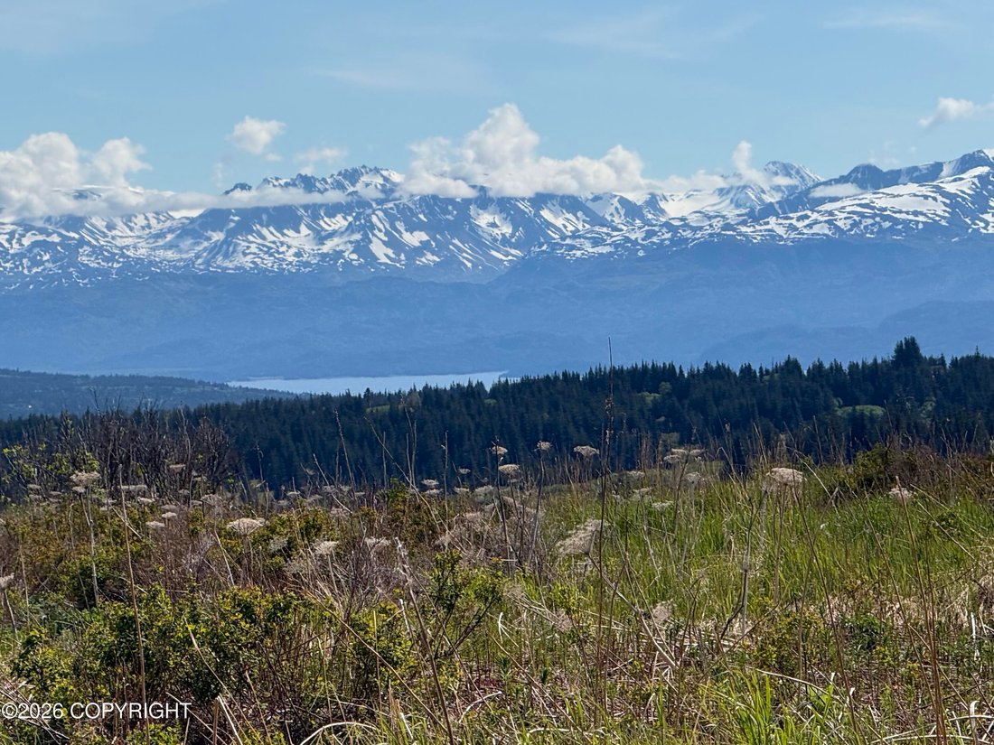 House in Homer, Alaska, United States 4 - 18177120