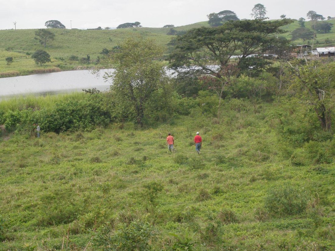 Land in Cojimies, Manabí, Ecuador 4 - 18190628