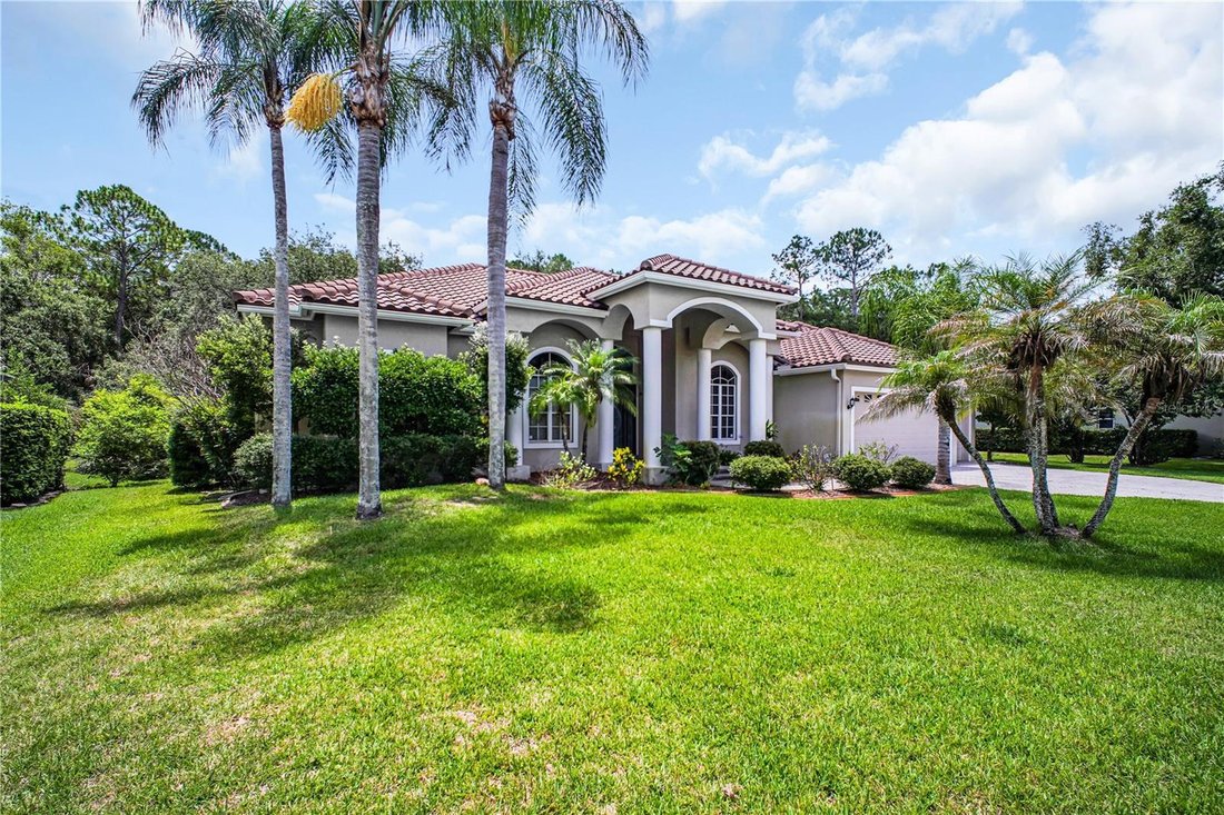 House in Oldsmar, Florida, United States 3 - 18192772
