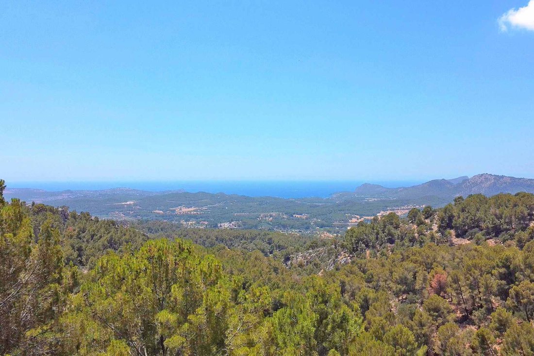 Land in Calvia, Balearic Islands, Spain 4 - 18191342