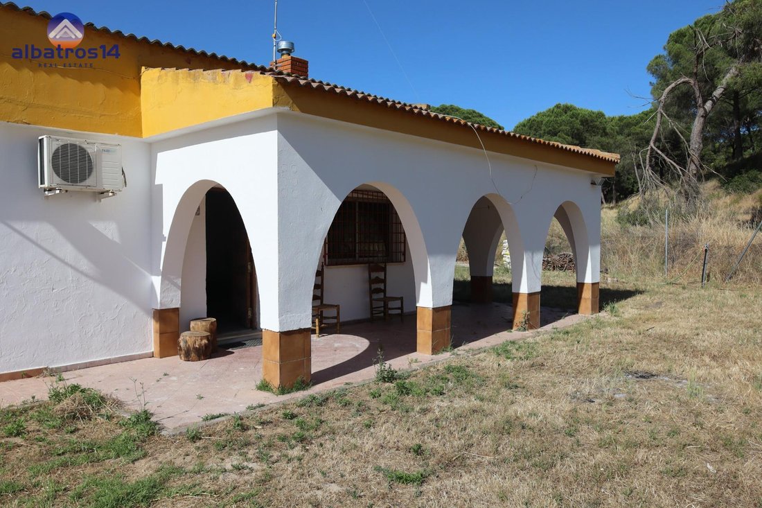 Country House in El Rompido, Cartaya, Andalusia 2 - 18191401