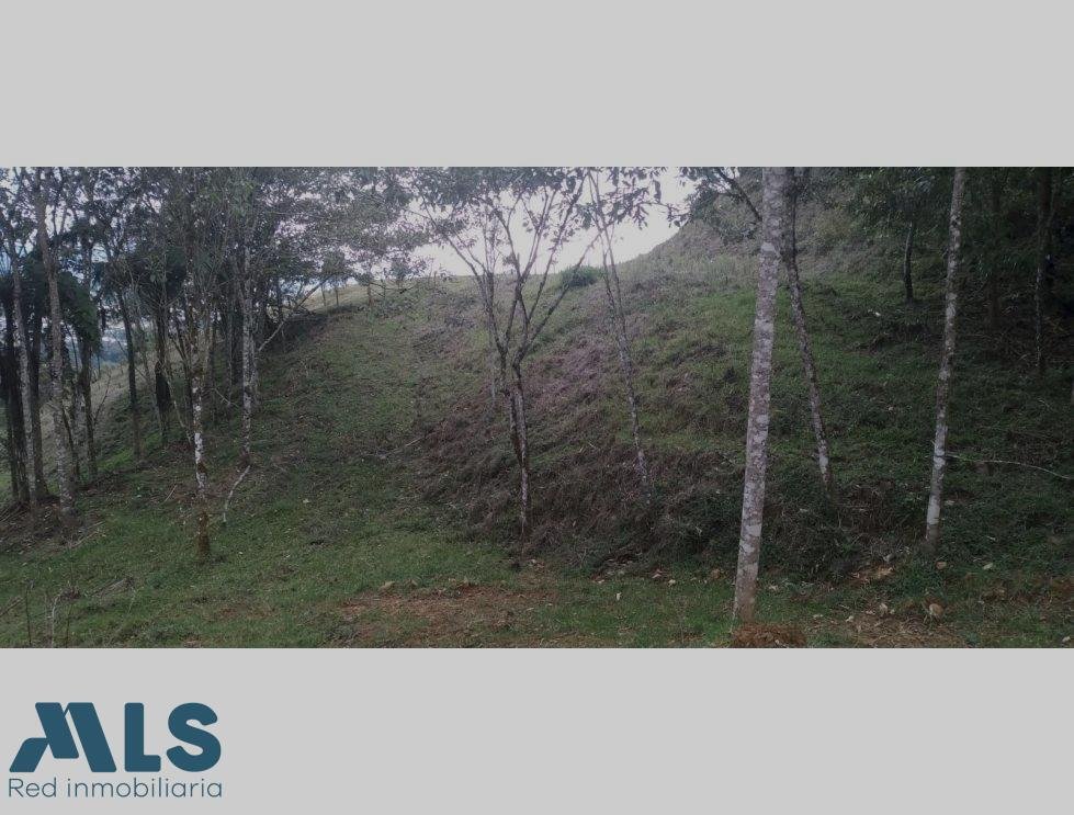 Land in La Ceja, La Ceja, Colombia 5 - 18189211