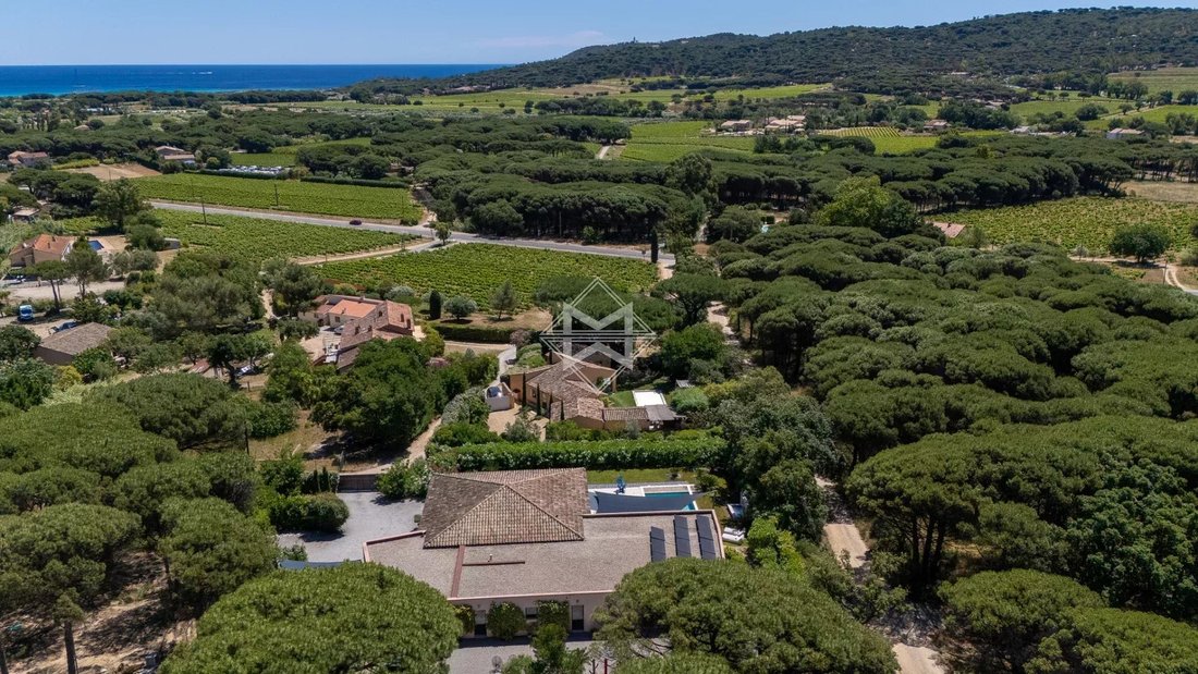 Estate in Ramatuelle, Provence-Alpes-Côte d'Azur, France 1 - 12345523