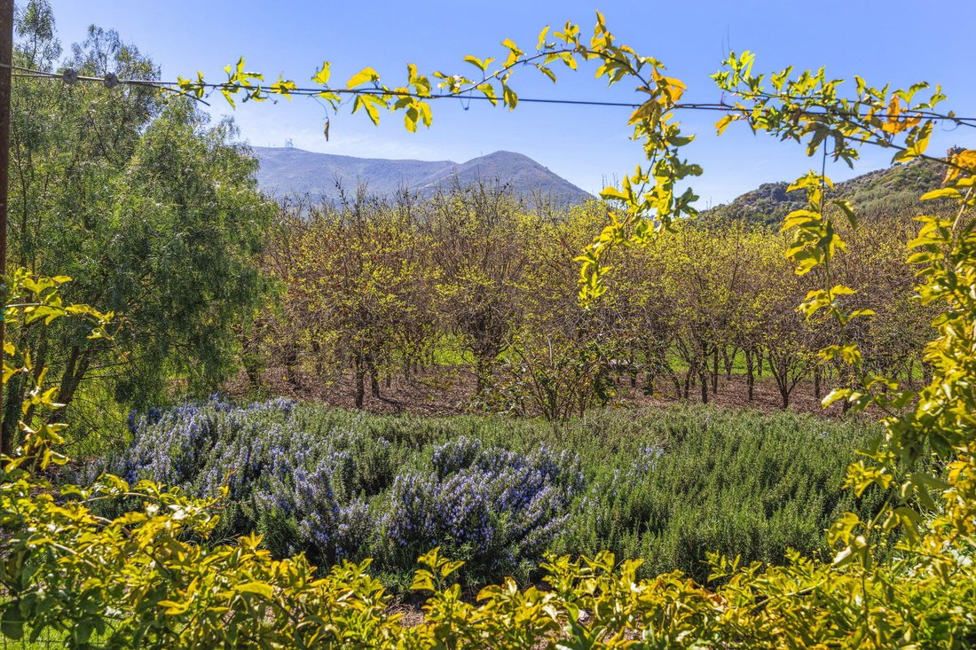 House in Ventura, California, United States 4 - 18191332