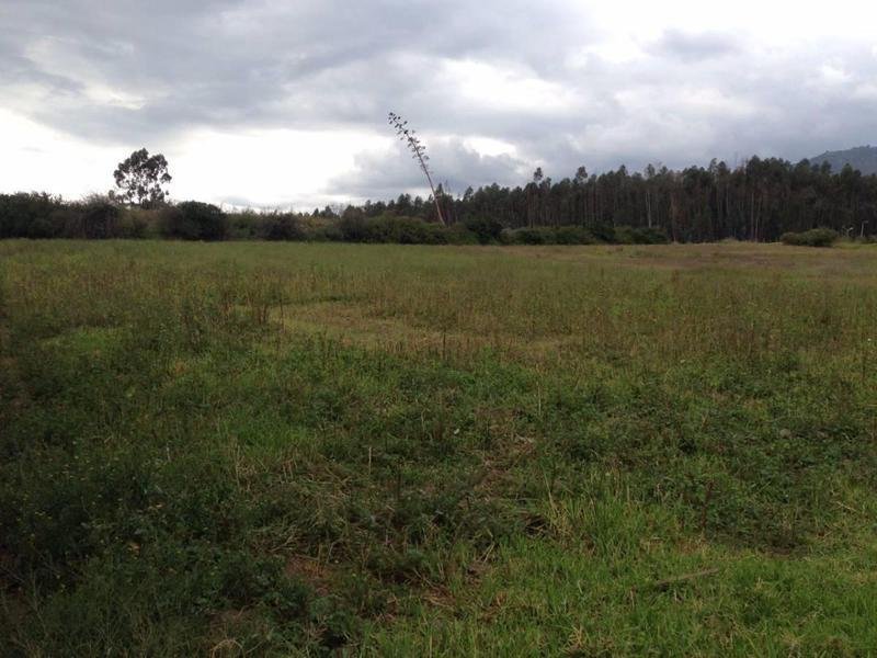 Land in Quito, Pichincha, Ecuador 4 - 18190651