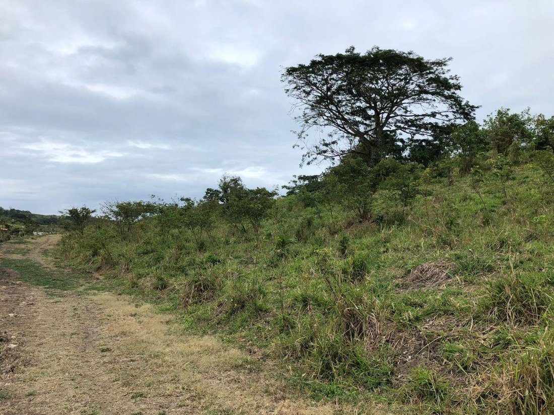 Land in Cojimies, Manabí, Ecuador 2 - 18190628