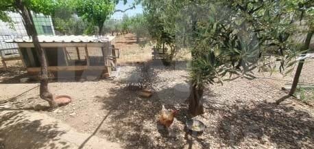 Farm Ranch in Ocana, Castile-La Mancha, Spain 5 - 18190812